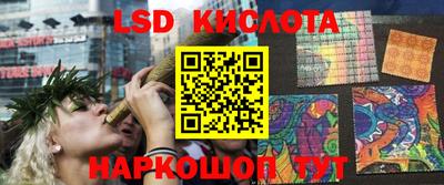 шишки Новодвинск