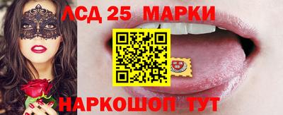 стаф Новокубанск
