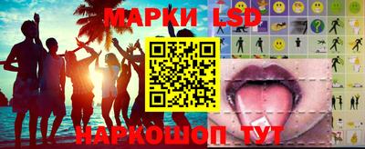 стаф Новокубанск
