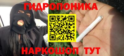 шишки Новодвинск