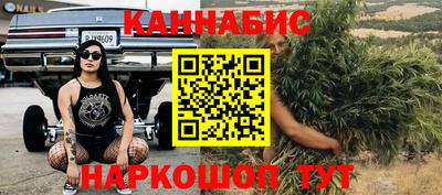 шишки Новодвинск