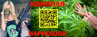шишки Новодвинск