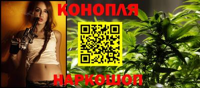 стаф Новокубанск