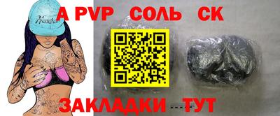 шишки Новодвинск