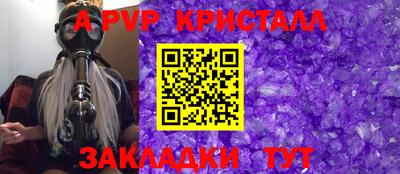 шишки Новодвинск