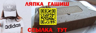 шишки Новодвинск