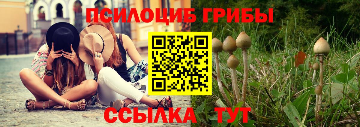 купить наркоту  Вход с VPN  Рязань  Галлюциногенные грибы Psilocybe 